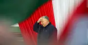 Viktor Orban s'accroche malgré la défaite, le Fidesz en crise