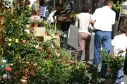 Villeneuve-Loubet célèbre sa 12e Fête de la Nature avec Tony Crocetta