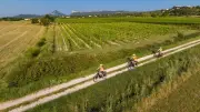 Vélo vin copains : une nouvelle initiative d'œnotourisme dans le Pic Saint-Loup