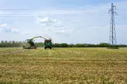 Vols en milieu agricole : du chapardage au pillage organisé, une menace grandissante