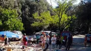 Week-end festif à Mons : brocante, arts et musique avec Broctou
