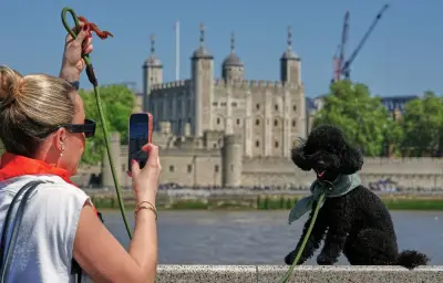 200 ans de photo : les Français préfèrent leurs animaux à leurs enfants