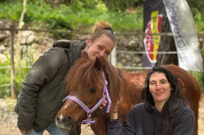 Alegria, ponette sauvée par Julien Courbet, coule des jours heureux à Sillans-la-Cascade