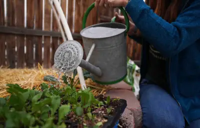 Après les Saints de Glace : guide des légumes à planter en mai