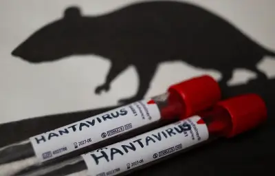 Argentine : chasse aux rats porteurs d'hantavirus en Terre de Feu