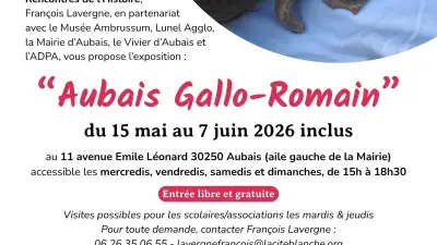 Aubais : 400 pièces gallo-romaines exposées pour un voyage dans l'Antiquité