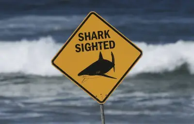 Australie : un homme meurt après une attaque de requin dans le Queensland