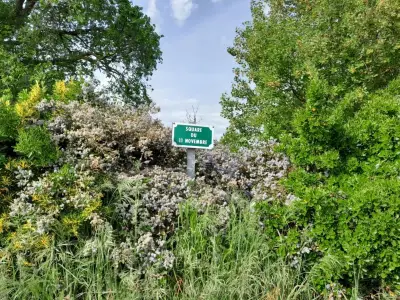 Aytré : la Ville répond aux critiques sur l'entretien des espaces verts