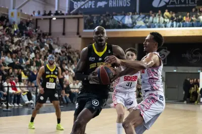 Basket : La Rochelle s'impose face à Scabb dans une ambiance de fête
