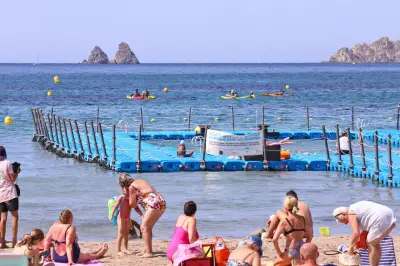 Bassin flottant de Saint-Elme : retour pour l'été à La Seyne-sur-Mer