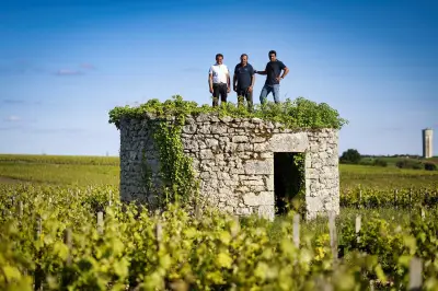Bordeaux : rebâtir le commerce après l'arrachage massif