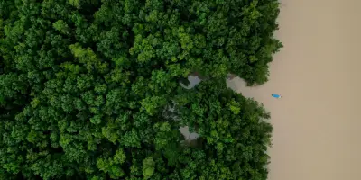 Brésil : déforestation au plus bas depuis 2019 malgré des menaces