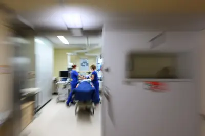 Cancer du pancréas : un nouvel anticorps prometteur pour améliorer la survie