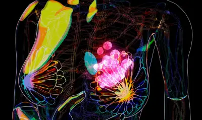 Cancer du sein : risque accru de maladies cardiovasculaires après traitement