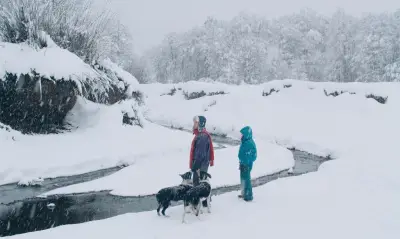 Cannes 2026 : Dégel, la partie imagée de l’iceberg