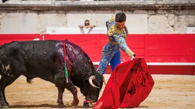 Cape d'Or : Emiliano Osornio, Victor et Clovis affrontent six novillos de Talavante