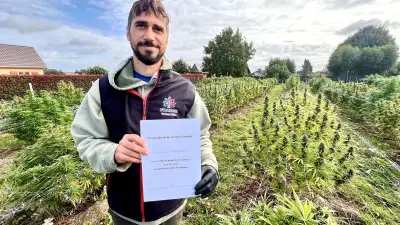 CBD dans l'Eure : un producteur dénonce une interdiction qui met la filière en danger