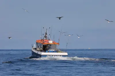 Cerfs-volants pour protéger les oiseaux marins des palangriers