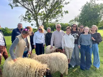 Éco-pâturage au collège : des moutons pour entretenir les espaces verts
