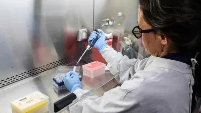 Comment les médecins ont appris à soigner l'hantavirus : « Il faut vraiment se battre »