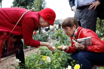 Concours de roses à Monaco : experts et public jugent 70 variétés
