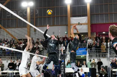 David Guelle : dernier match pro à Royan avant une montée historique en Ligue A