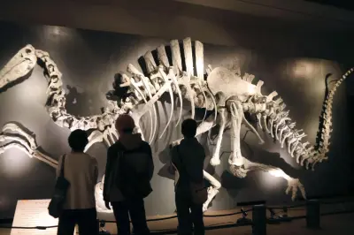 Découverte d'un dinosaure géant en Thaïlande : le Nagatitan