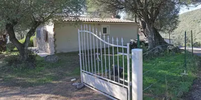 De 12 à 14 ans requis contre Mickaël Ettori, lieutenant du gang du Petit Bar