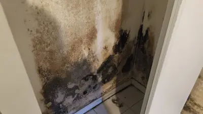 Famille gardoise vit l'enfer dans logement social insalubre à Bagnols-sur-Cèze