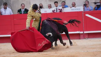 Feria de Nîmes 2026 : art, émotion et découverte au programme