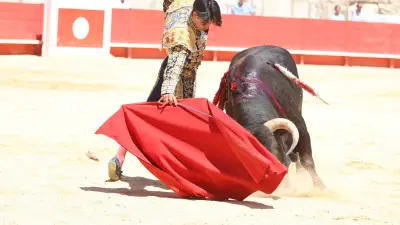 Feria de Nîmes : Clovis remporte la 65e Cape d’Or