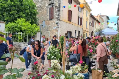 Fête « Autour de la rose » à La Colle-sur-Loup ce dimanche 17 mai