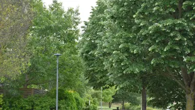 Fête de la nature : animations au centre social le Quai à Saint-Affrique