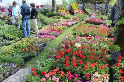 Fête des fleurs d'Arces-sur-Gironde : 34e édition du 23 au 25 mai