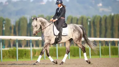 Grand Steeple-Chase 2026 : la retraite paisible des champions hippiques