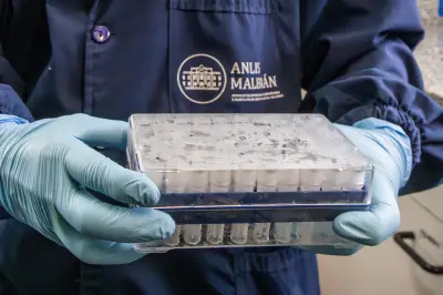 Hantavirus Andes : une épidémie argentine décortiquée par la science