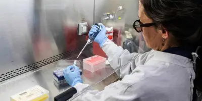 Hantavirus : Gustavo Palacios rassure sur la transmission du virus Andes