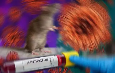 Hantavirus: le passager américain finalement négatif après de nouveaux tests