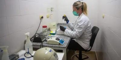 Hantavirus : l'OMS confirme huit cas liés au virus des Andes