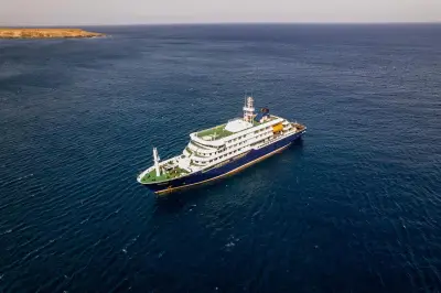 Hantavirus : trois morts sur un bateau de croisière, ce qu'il faut savoir