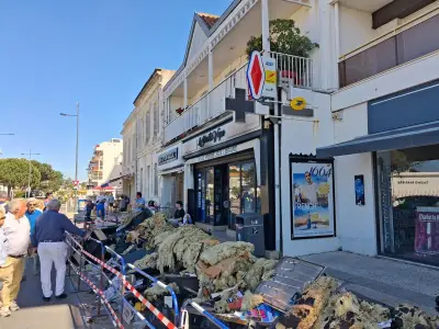 Incendie dans un tabac-presse à Pontaillac : un photocopieur en cause