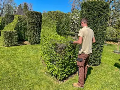 Journées mondiales de la topiaire : démonstrations aux jardins d'Eyrignac