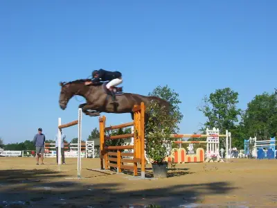 Jumping des grands vins : du 8 au 10 mai à Saint-Seurin