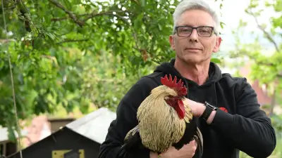 Kiki le coq gagne en justice et peut continuer à chanter