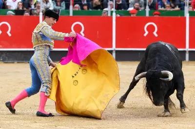 La Brède : la justice suspend la corrida 2026, un an d'interruption suffit