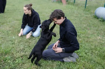 À La Rochelle, des chiots labrador choisissent leur maître douanier