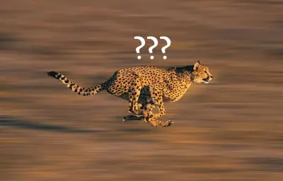Le guépard n'est pas l'animal le plus rapide : découvrez les vrais champions