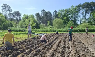 Les Amap bordelaises : un modèle solidaire qui s'ancre dans le quotidien