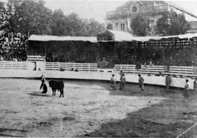 Les arènes de Dax : 110 ans d'histoire en images