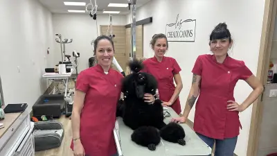 Les Ciseaux Canins s'installent face à l'université Hoche à Nîmes